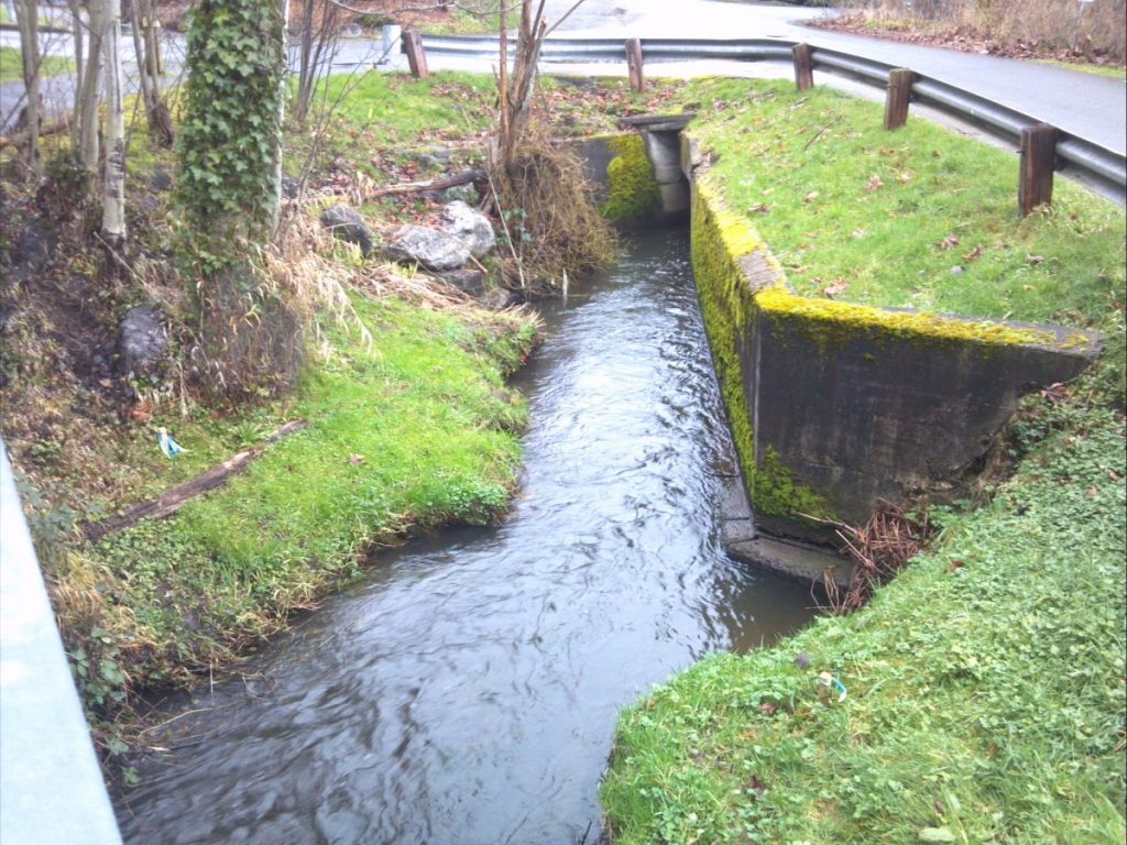 Fish Passage NE 93rd Thornton (2) Osborn Consulting Inc