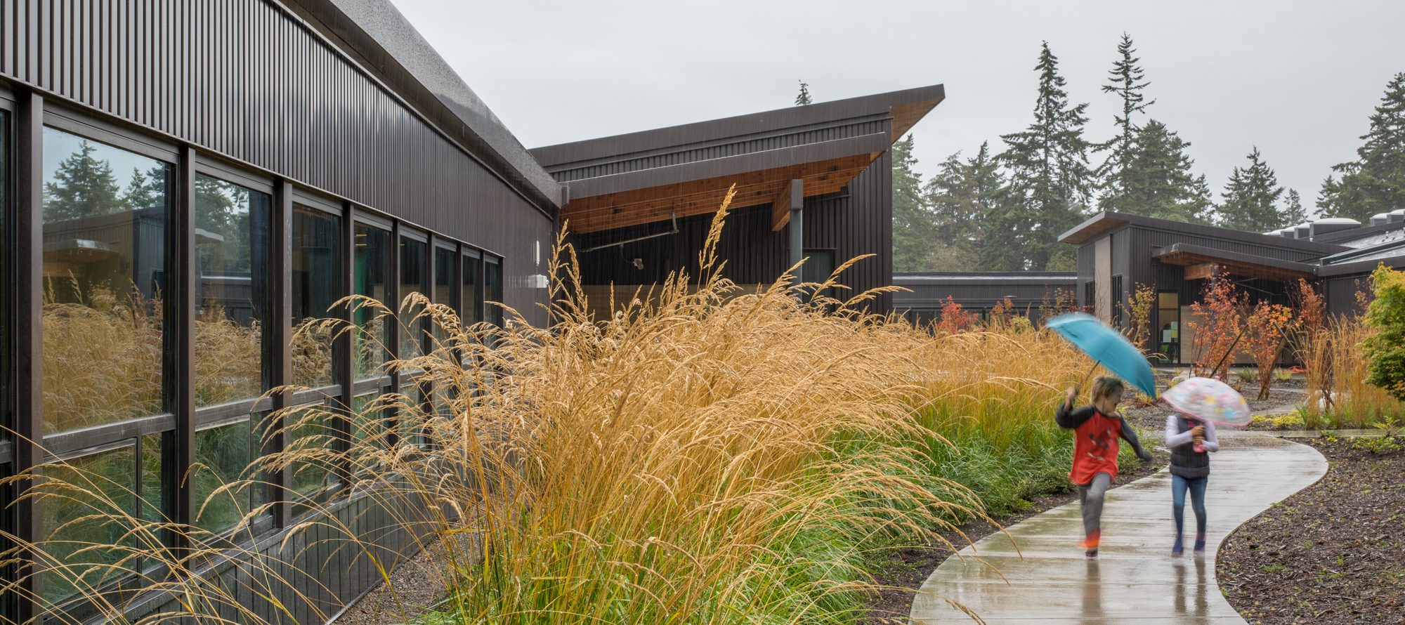 LS20190923_salishcoastes_006