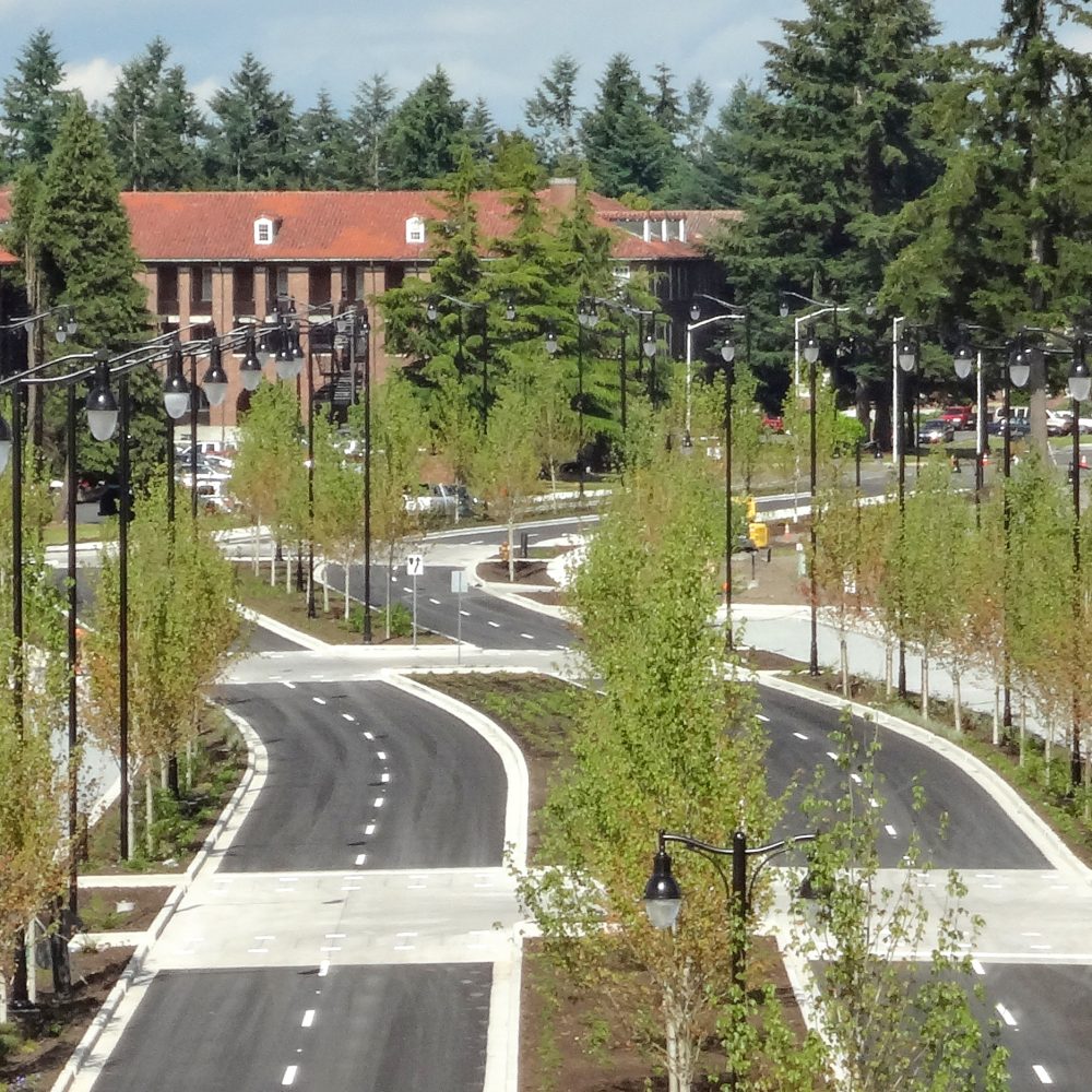 DSC01642 processed - no date