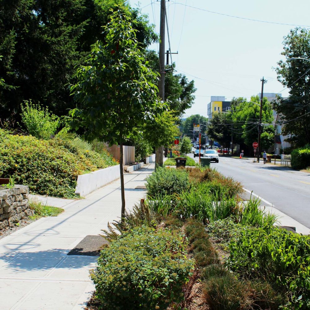 IMG_1700_edits_edited