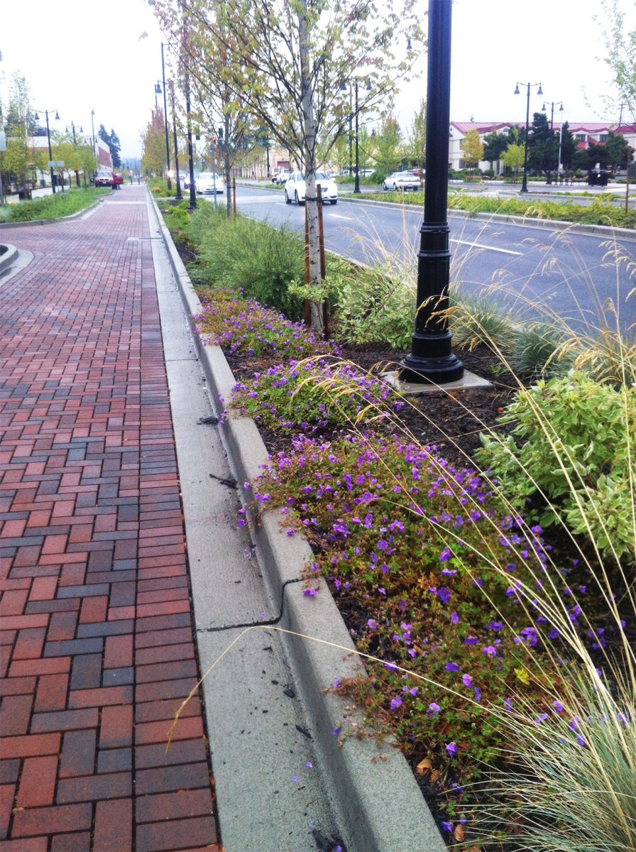 JBLM bioretention