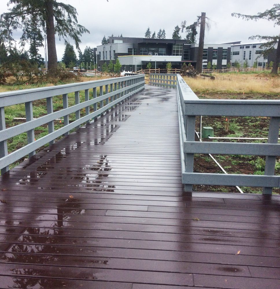 MicrosoftTeams-image (2)