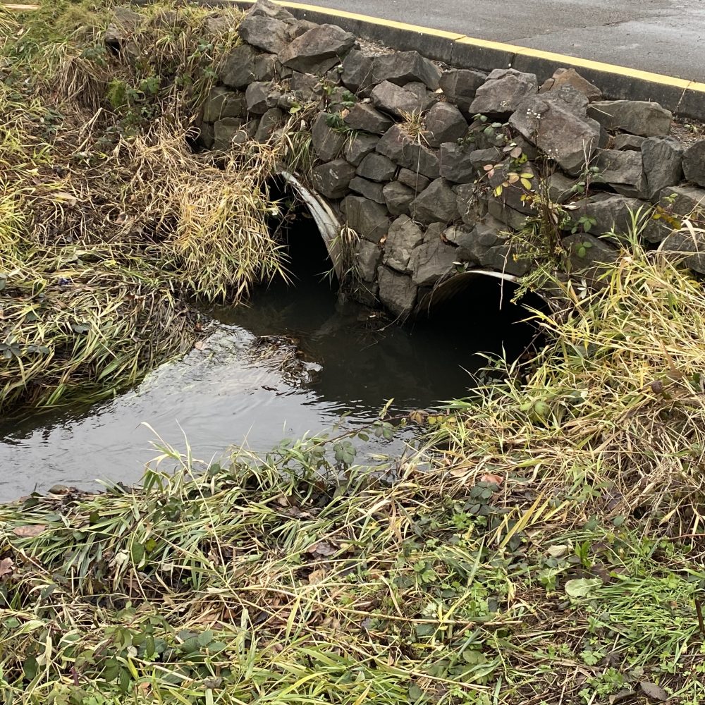 Nelson 2 - Looking at Parking lot cuvlerts outlets