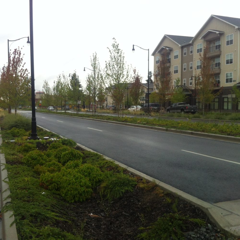 P_JBLM_Pendleton Blvd_STR_PCON_20140723 (5)