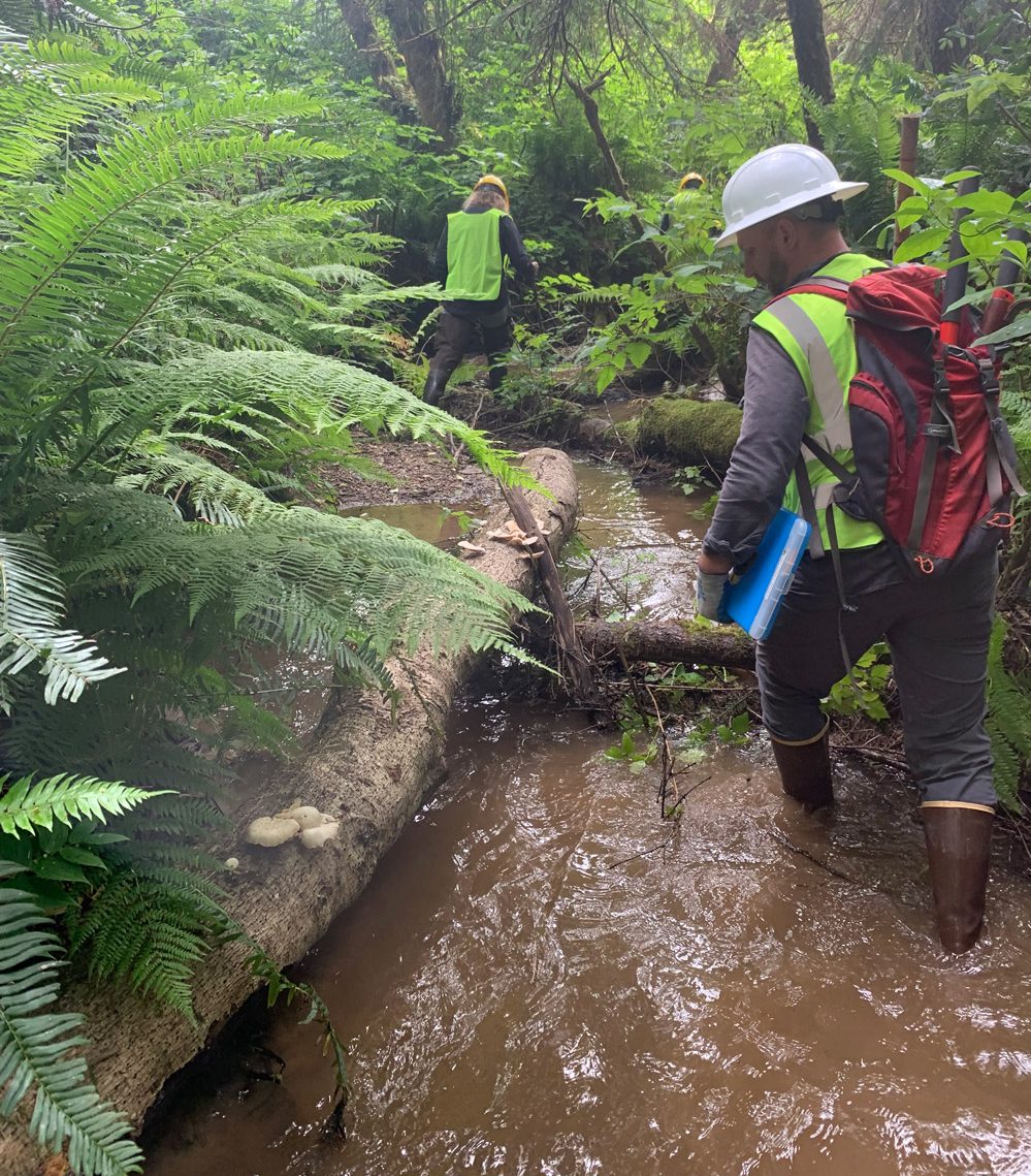 WSDOT-Coastal-29-Fish-Passage-Site-Visit