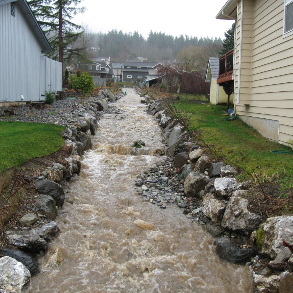 Whatcom County Silver Beach Creek Main Stem After (2)