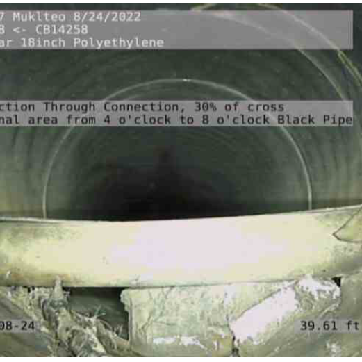 image (1)