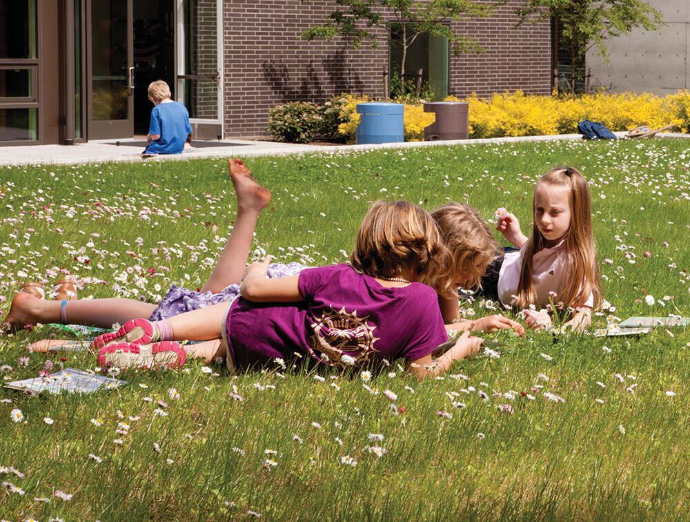 tPNZZSmARUGEtSxQRsWg_J_B_Wilkes Elementary School