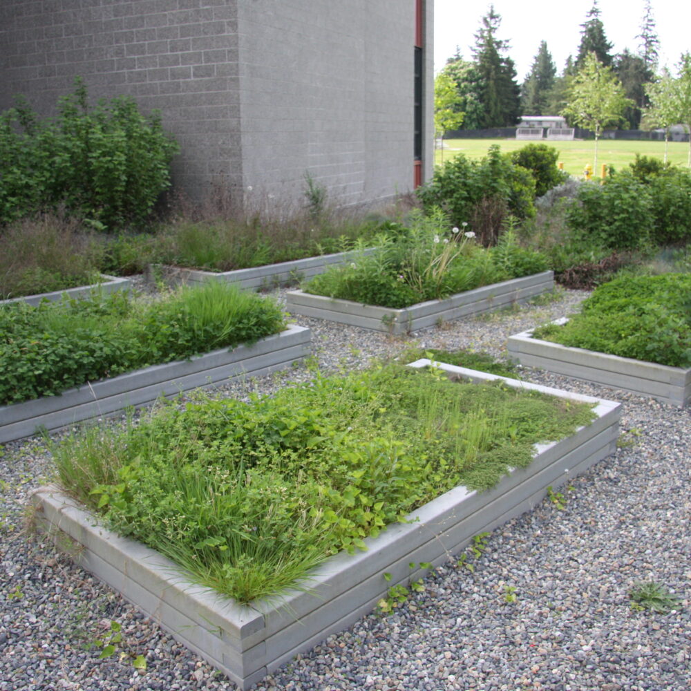 P_Meadowdale MS_PC_20140514 (80)